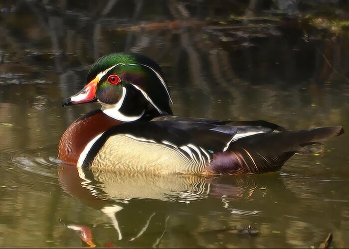 Duck Greeting Card featuring the photograph Wood Duck 02 by Ann Bridges