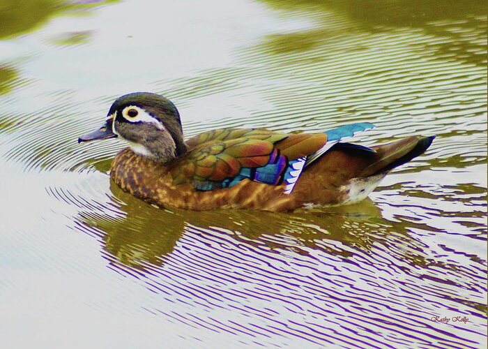 Wood Duck Hen Greeting Card featuring the photograph Wood Duck Hen by Kathy Kelly