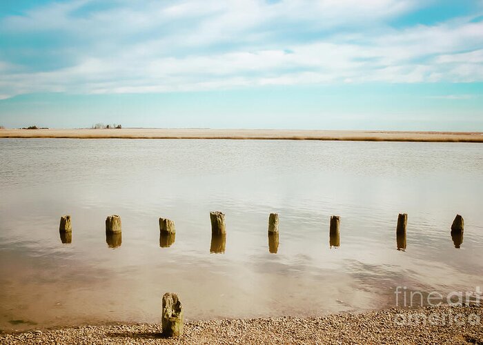 Wood Pilings Greeting Card featuring the photograph Wood Pilings in Shallow Waters by Colleen Kammerer