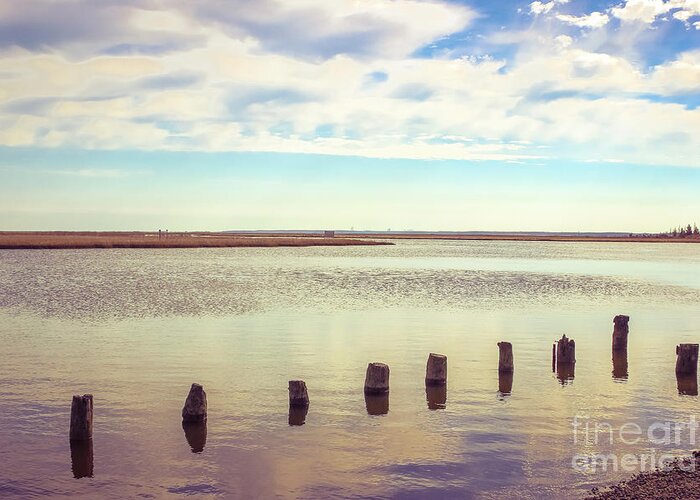 Colleen Kammerer Photography Greeting Card featuring the photograph Wood Pilings in Still Water by Colleen Kammerer