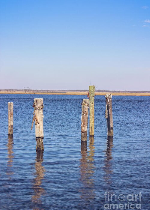 Wood Greeting Card featuring the photograph Wood Pilings on the Mullica River by Colleen Kammerer