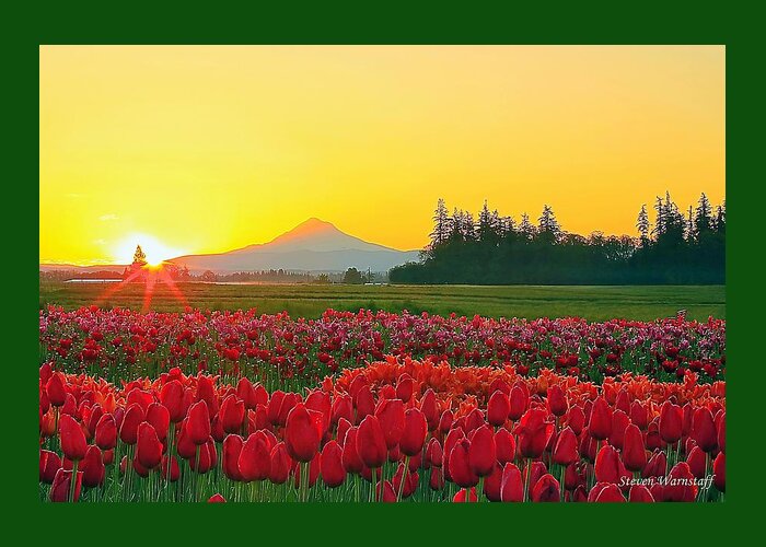 Landscape Greeting Card featuring the photograph Wooden Shoe Tulip Fields Sunrise by Steve Warnstaff