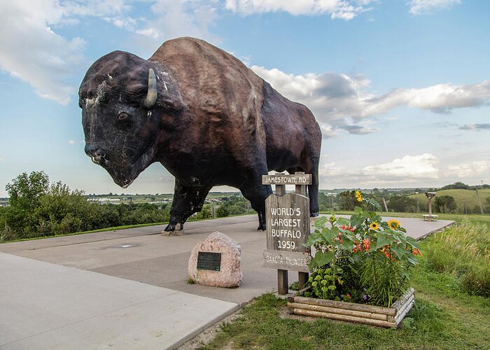 Worlds Largest Buffalo Greeting Card featuring the photograph Worlds Largest Buffalo in North Dakota by John McGraw