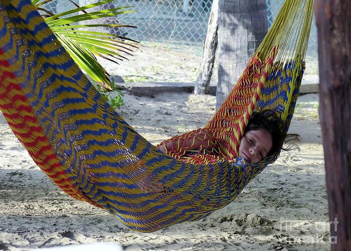 Siesta Greeting Card featuring the photograph Wrapped In The Hammock by Rosanne Licciardi