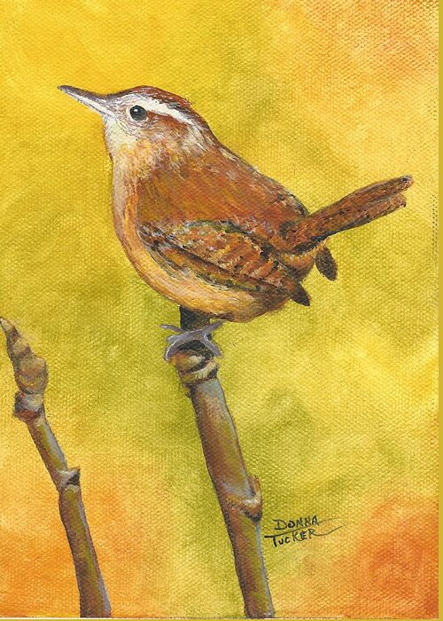 Wren Greeting Card featuring the painting Wren by Donna Tucker