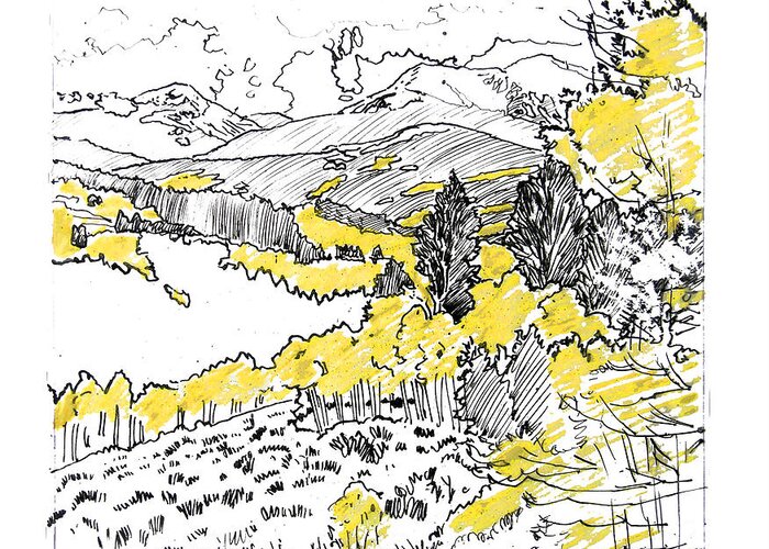 Yellow Aspens Greeting Card featuring the drawing Yellow Aspens Colorado Mountains by John Lautermilch