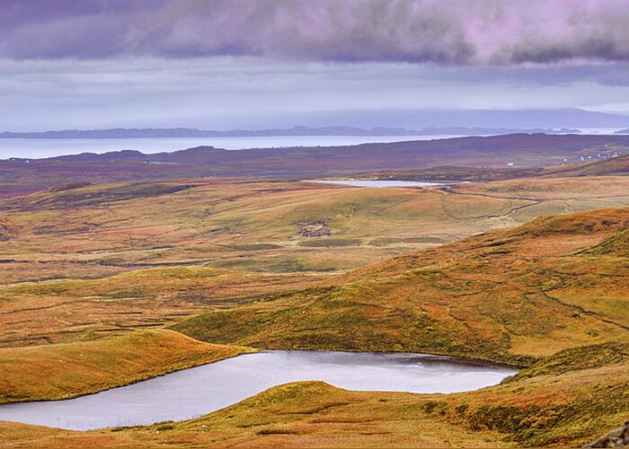 Landscape Greeting Card featuring the photograph Yellow autumn #g8 by Leif Sohlman