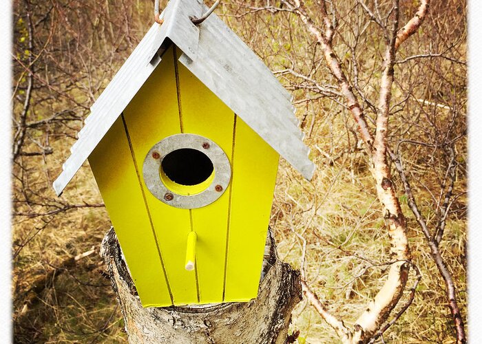 Nesting Box Greeting Card featuring the photograph Yellow bird house by Matthias Hauser