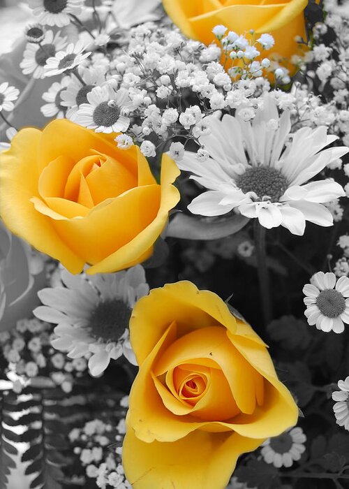 Rose Greeting Card featuring the photograph Yellow Roses by Amy Fose