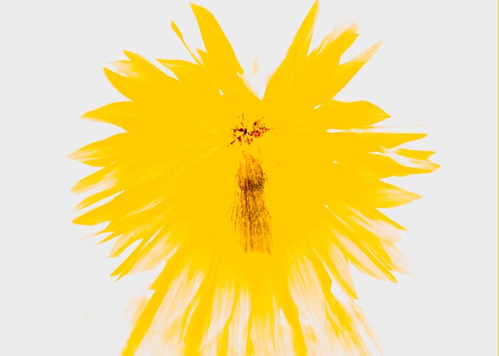 Abstract Greeting Card featuring the photograph Yellow Splodge by Roy Pedersen