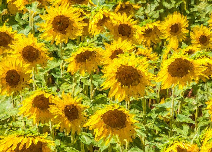 David Letts Greeting Card featuring the painting Yellow Sunflowers by David Letts