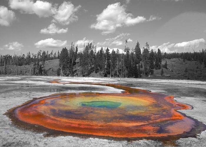 Yellowstone Geyser Greeting Card featuring the photograph Yellowstone color by Patrick Flynn
