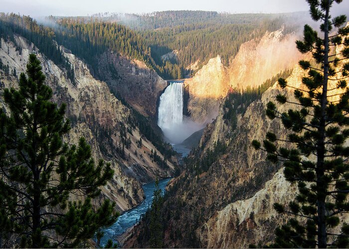 Grand Canyon Of The Yellowstone Greeting Card featuring the photograph Yellowstone Falls by Jennifer Ancker