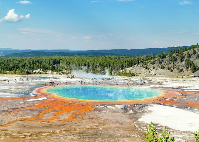 Grand Prismatic Spring Greeting Card featuring the photograph Yellowstone Grand Prismatic Spring by Andy Myatt