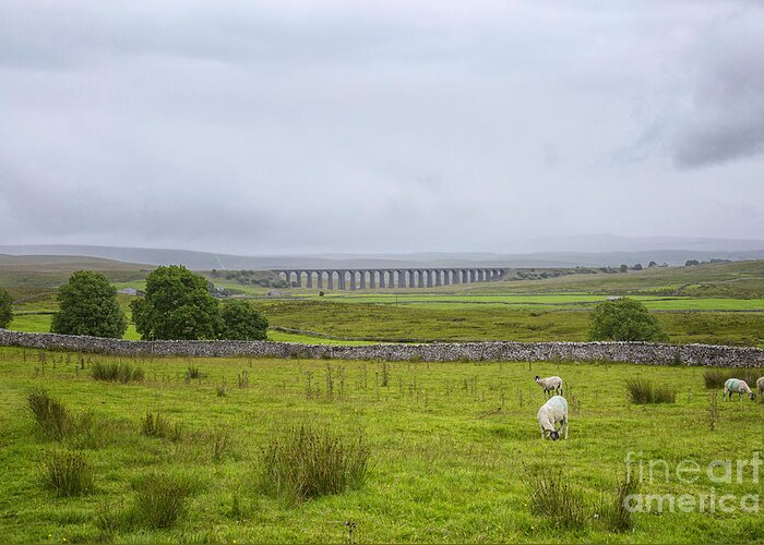 Ribblehead Greeting Card featuring the photograph Yorkshire Dales with the Ribblehead viaduct by Patricia Hofmeester