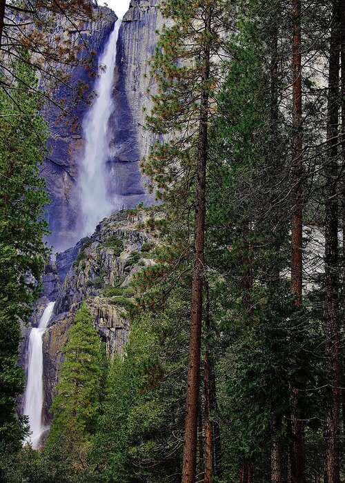 Yosemite Fallls Greeting Card featuring the photograph Yosemite Falls C by Phyllis Spoor