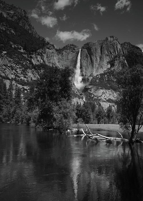 Yosemite Falls From Swinging Bridge Greeting Card featuring the photograph Yosemite Falls from Swinging Bridge in Black and White by Raymond Salani III