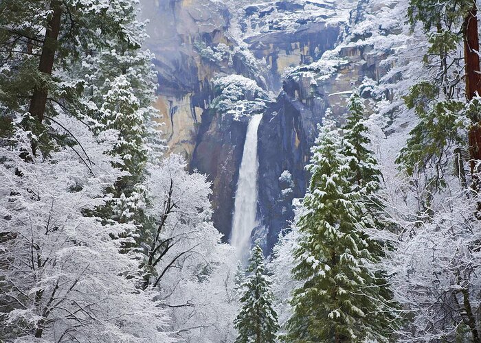 Yosemite Greeting Card featuring the photograph Yosemite Falls in the Snow by Gregory Scott
