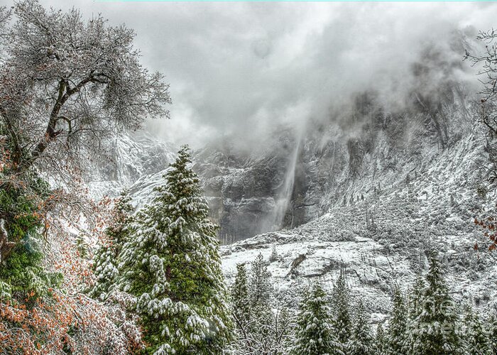 Yosemite Greeting Card featuring the photograph Yosemite Falls Winter Fury by Wayne Moran