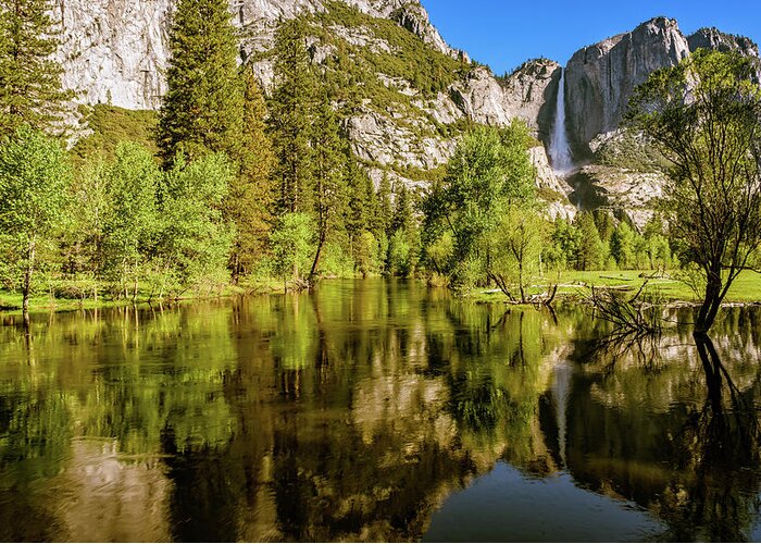 California Greeting Card featuring the photograph Yosemite Reflections on the Merced River by John Hight