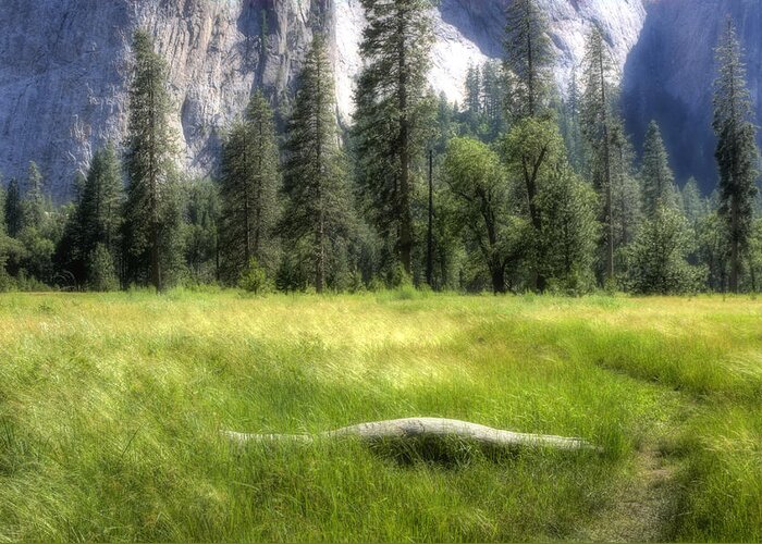 Landscape Greeting Card featuring the photograph Yosemite Valley by Michael Cleere