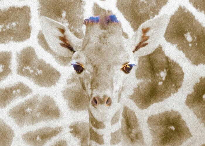 5dmkiv Greeting Card featuring the photograph Young giraffe by Mark Mille