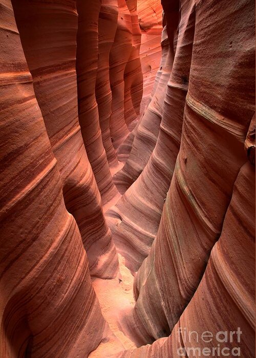 Slot Canyon Greeting Card featuring the photograph Zebra Slot Canyon by Adam Jewell