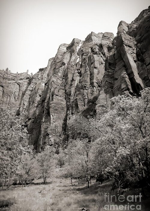 National Park Greeting Card featuring the photograph Zion National Park Sepia Tones by Chuck Kuhn