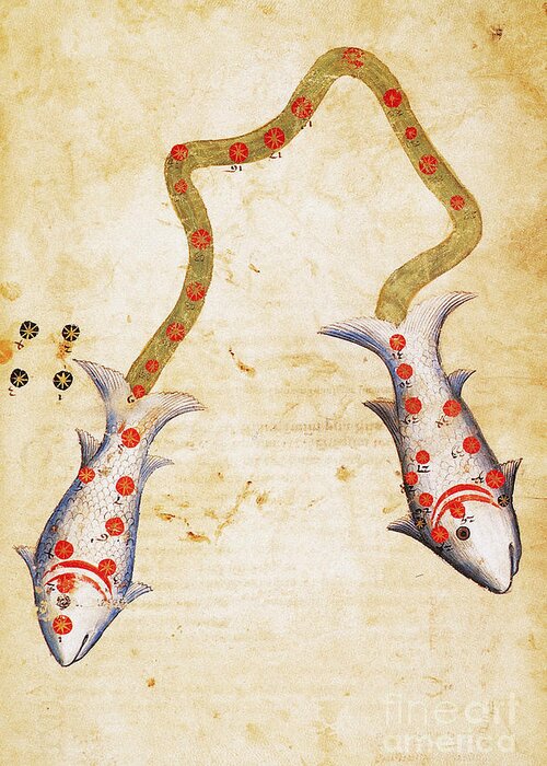 10th Century Greeting Card featuring the photograph ZODIAC: PISCES, c1350 by Granger