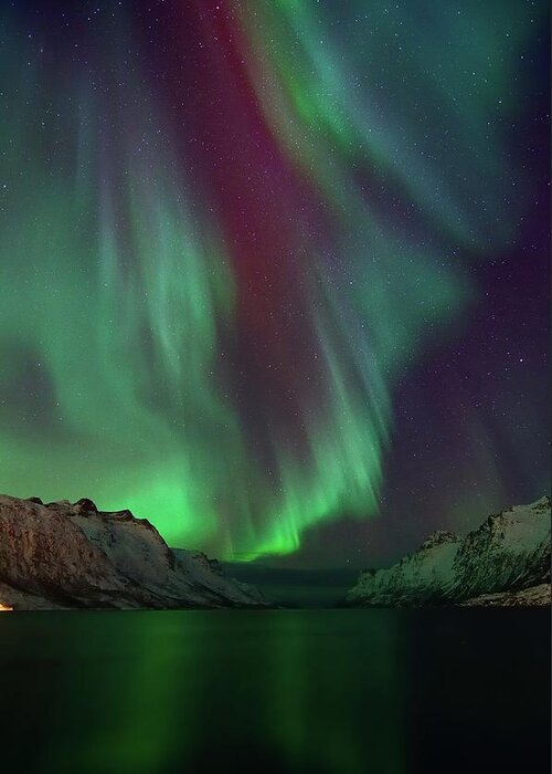 Scenics Greeting Card featuring the photograph Aurora Borealis In Ersfjordbotn #1 by John Hemmingsen