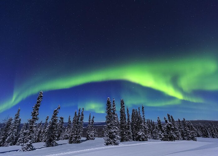 Green Color Greeting Card featuring the digital art Aurora Borealis, Northern Lights Above Tent Lit Up With Lantern, Near Chena Resort, Near Fairbanks, Alaska #1 by Stuart Westmorland