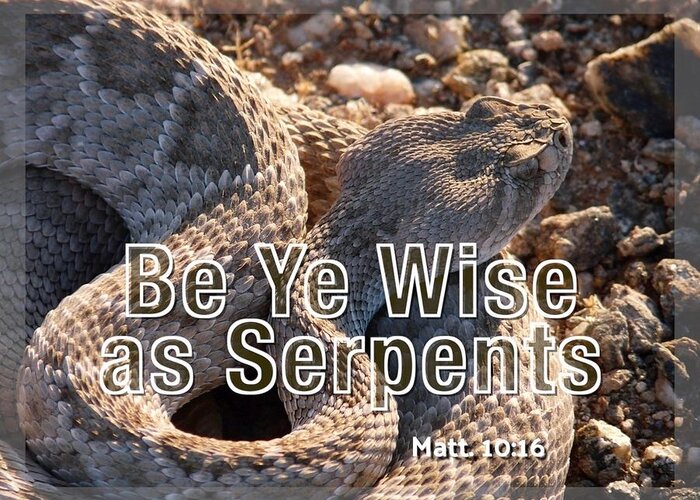 Adage Greeting Card featuring the photograph Be Ye Wise as Serpents by Judy Kennedy