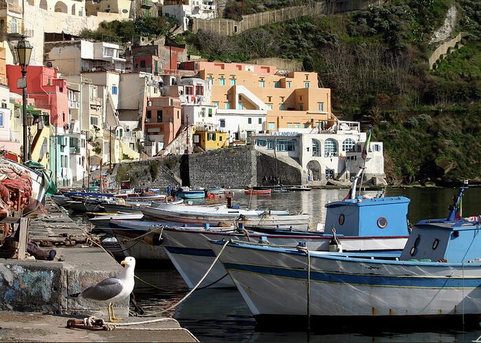 Italy Greeting Card featuring the photograph Boats of Procida #1 by Jonathan Thompson