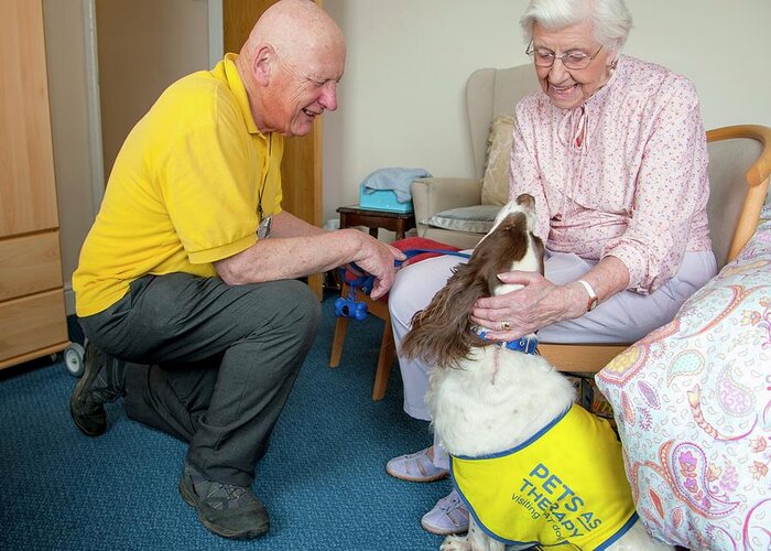 Animal Greeting Card featuring the photograph Care Home Pet Therapy #1 by John Cole/science Photo Library