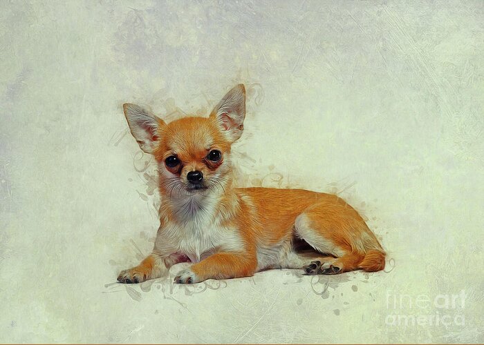Chihuahua Greeting Card featuring the drawing Chihuahua Art #1 by Ian Mitchell