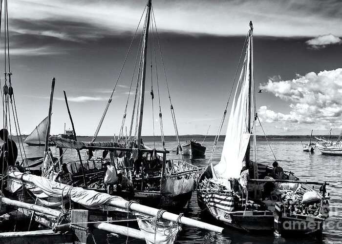 Top Artist Greeting Card featuring the photograph Dhow Boats Stone Town Port Zanzibar by Amyn Nasser