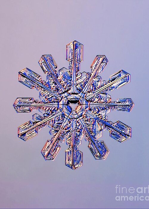 12-sided Greeting Card featuring the photograph Double Snowflake #1 by Kenneth Libbrecht/science Photo Library