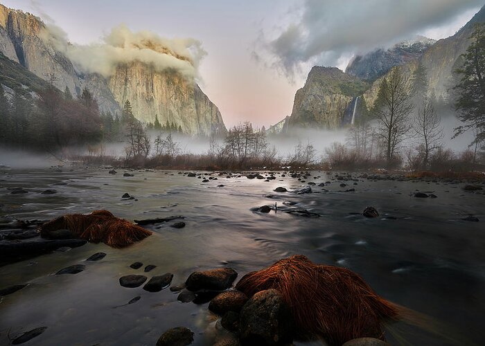 Forest Greeting Card featuring the photograph Dusk in Yosemite #1 by Jon Glaser