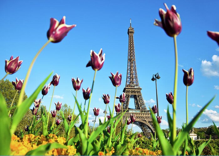 Scenics Greeting Card featuring the photograph Eiffel Tower In Paris, France #1 by Nikada