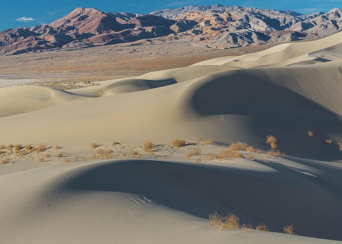 Jeff Foott Greeting Card featuring the photograph Euraka Dunes In Death Valley #1 by Jeff Foott