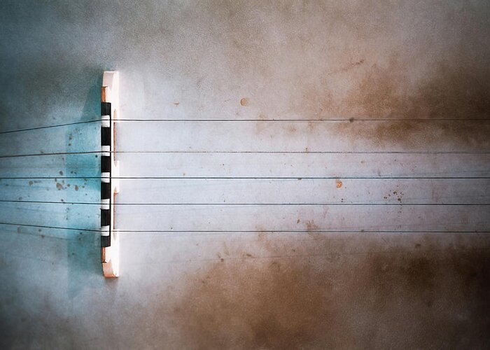 Strings Greeting Card featuring the photograph Five String Banjo by Scott Norris