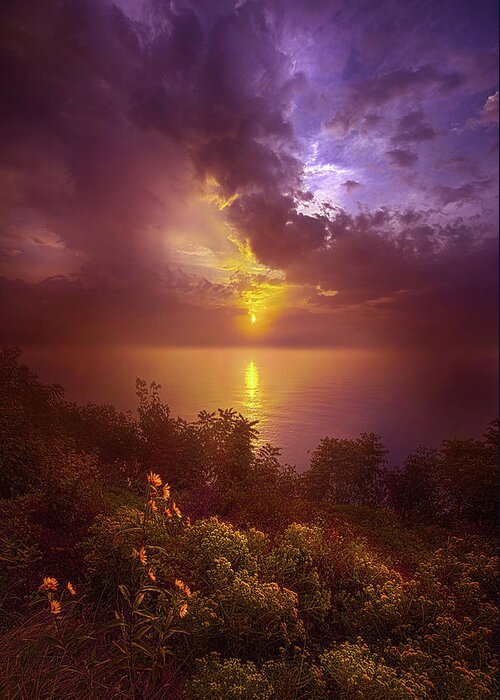 Life Greeting Card featuring the photograph Forever And A Day #1 by Phil Koch