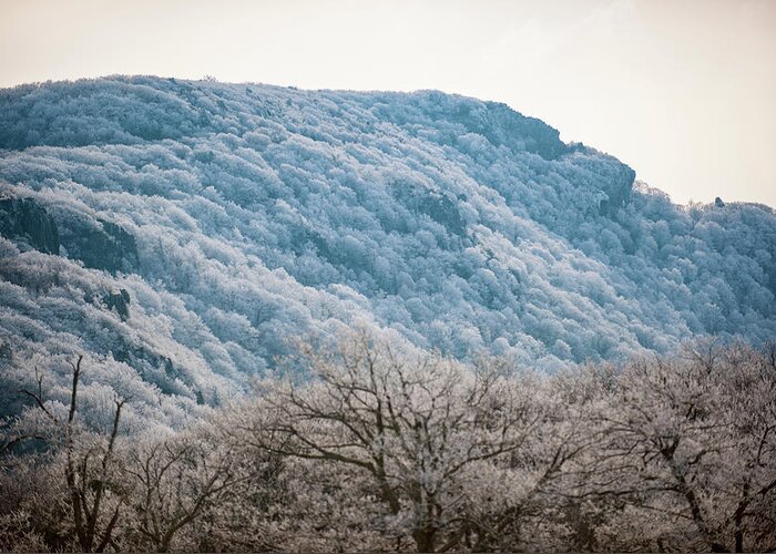 Blue Ridge Greeting Card featuring the photograph Frost on the Mountain #1 by Mark Duehmig