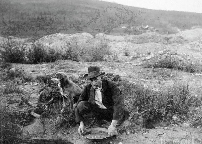 Geological Greeting Card featuring the photograph Gold Panning #1 by Library Of Congress/science Photo Library