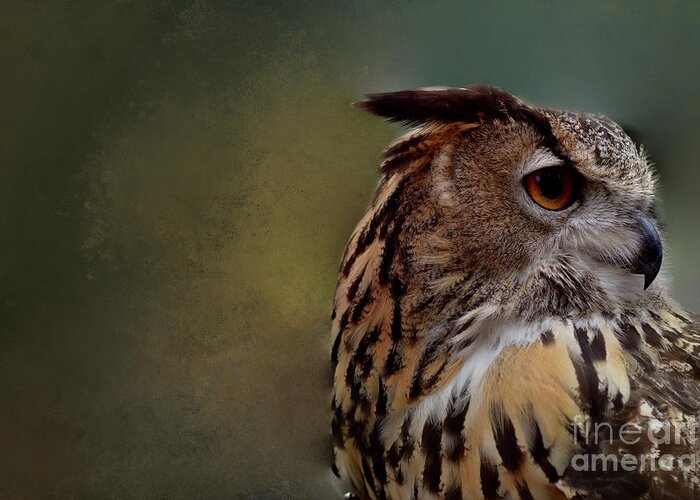 Great Horned Owl Greeting Card featuring the photograph Hoo Goes There by Kathy Kelly