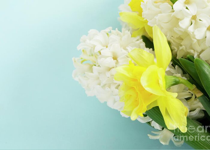 Easter Greeting Card featuring the photograph Hyacinth And Daffodils #1 by Anastasy Yarmolovich