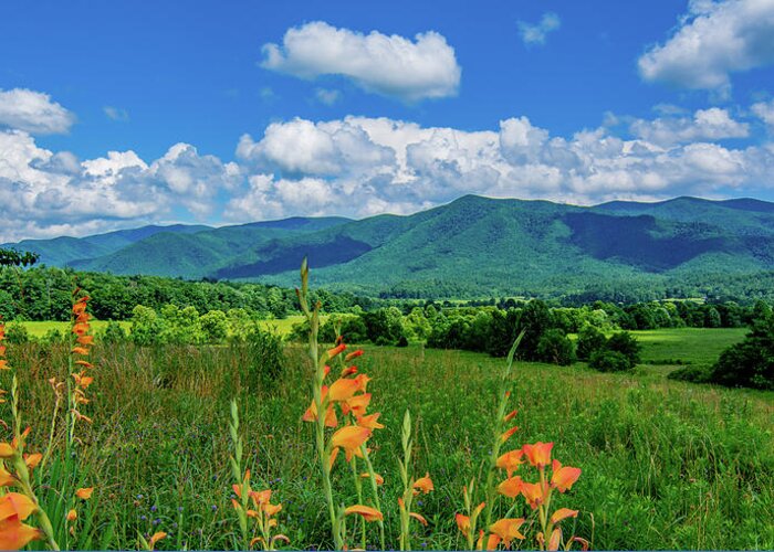 Cades Cove Greeting Card featuring the photograph Madelyn's Overlook by Marcy Wielfaert