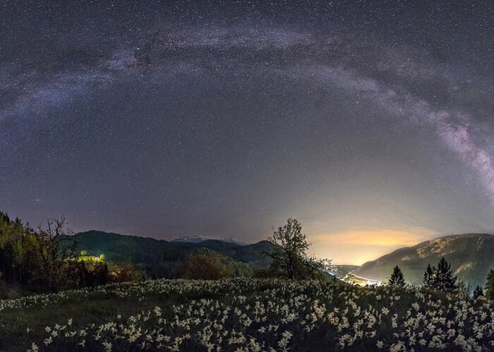 Sky Greeting Card featuring the photograph Milky Way And Daffodils #1 by Ales Krivec