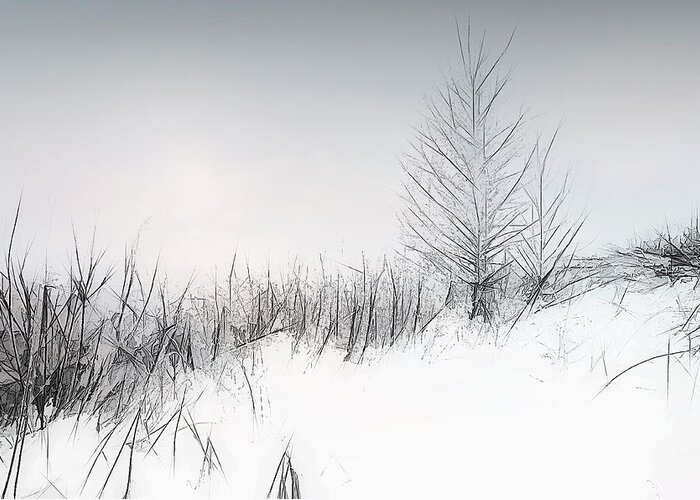 Riverside Greeting Card featuring the mixed media Misty Lines In Wintertime by Aleksandrs Drozdovs