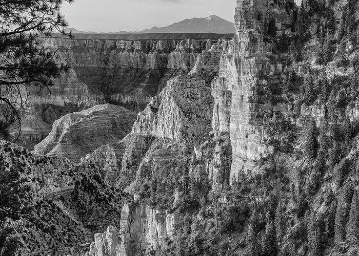 Disk1216 Greeting Card featuring the photograph North Rim, Grand Canyon #1 by Tim Fitzharris